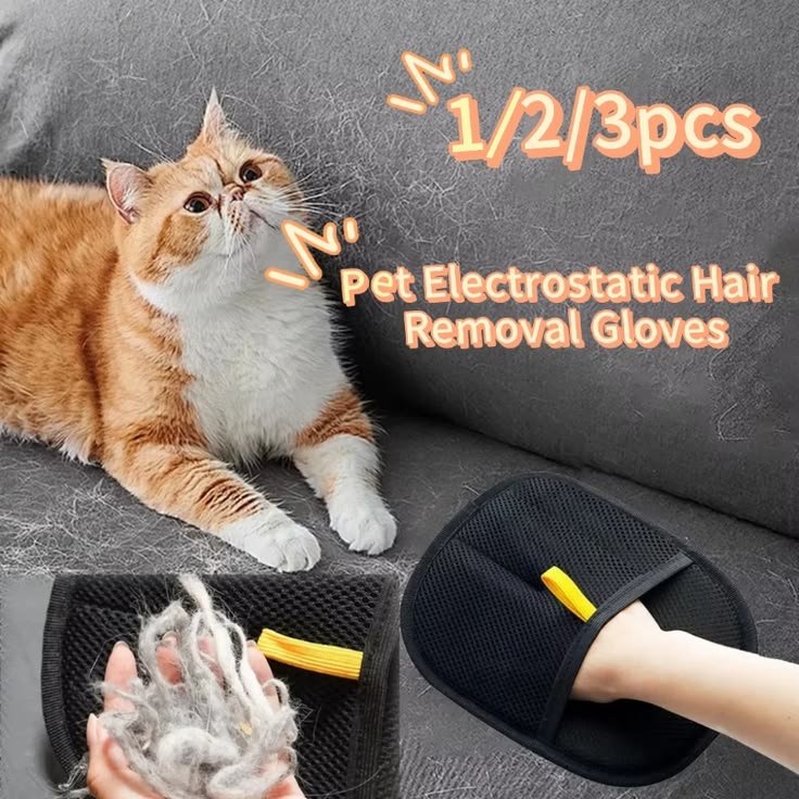 “Pet Hair Everywhere? Not Anymore! 🐾”